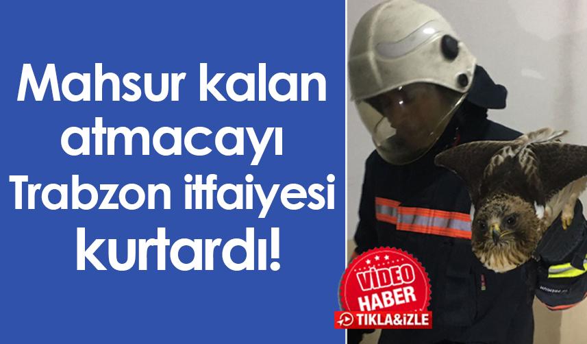 Mahsur kalan atmacayı Trabzon itfaiyesi kurtardı!