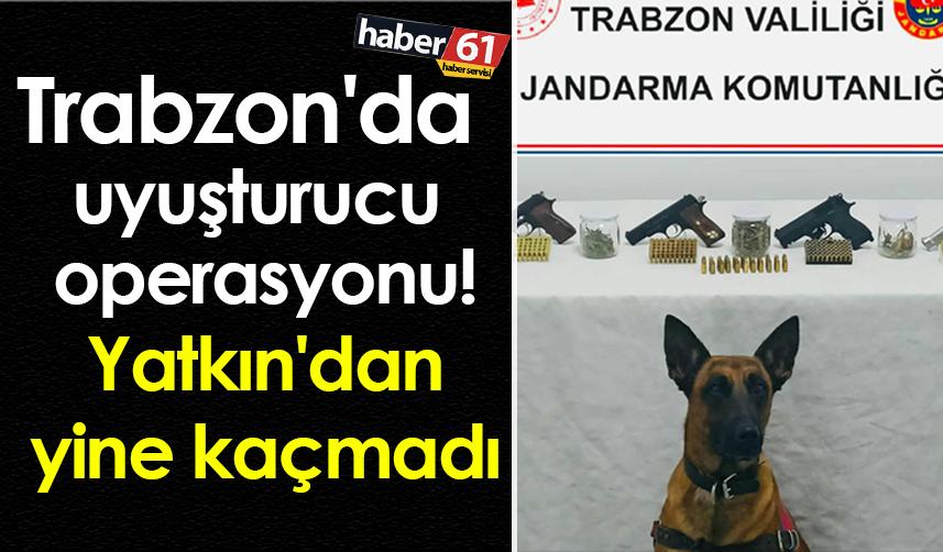 Trabzon'da uyuşturucu operasyonu! Yatkın'dan yine kaçmadı