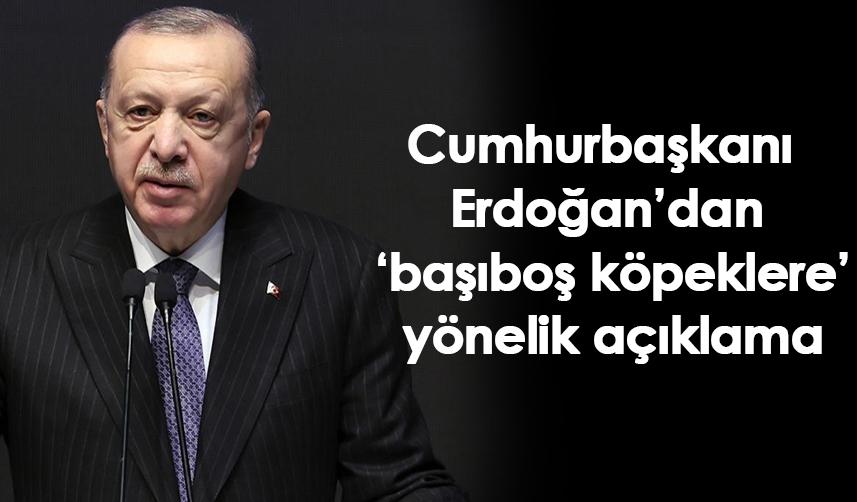 Cumhurbaşkanı Erdoğan’dan ‘başıboş köpeklere’ yönelik açıklama