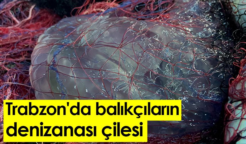 Trabzon'da balıkçıların denizanası çilesi