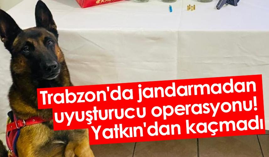 Trabzon'da jandarmadan uyuşturucu operasyonu! Yatkın'dan kaçmadı