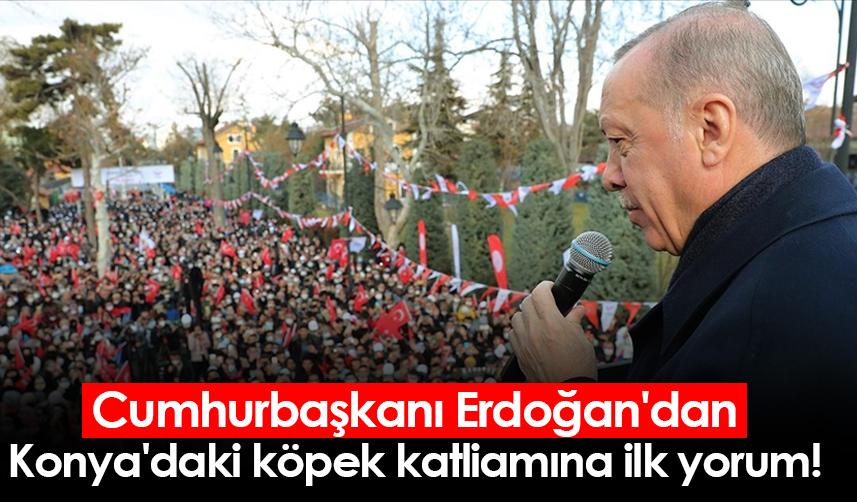Cumhurbaşkanı Erdoğan'dan Konya'daki köpek katliamına ilk yorum!