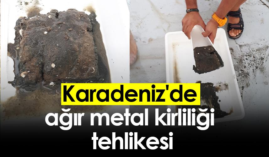 Karadeniz'de ağır metal kirliliği tehlikesi