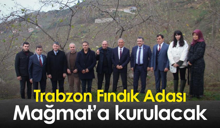 Trabzon Fındık Adası, Mağmat’a kurulacak
