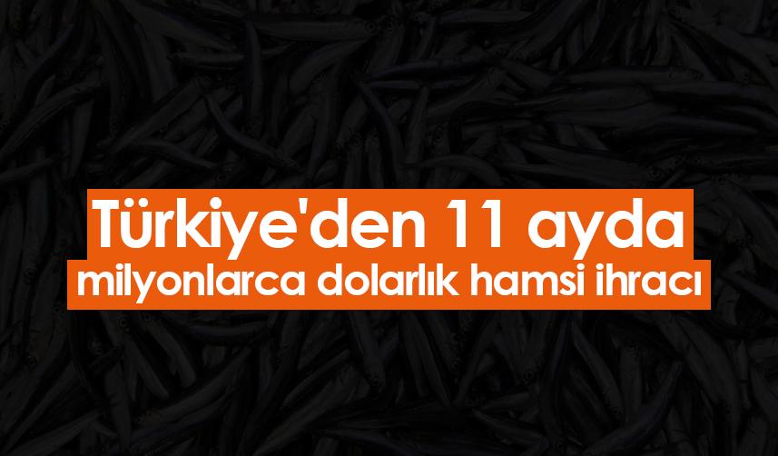 Türkiye'den 11 ayda milyonlarca dolarlık hamsi ihracı