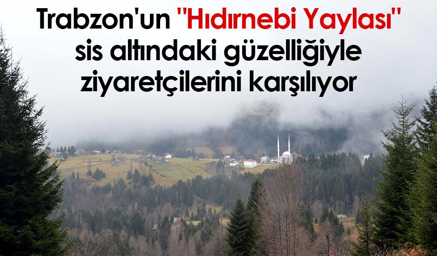 Trabzon'un "Hıdırnebi Yaylası" sis altındaki güzelliğiyle ziyaretçilerini karşılıyor