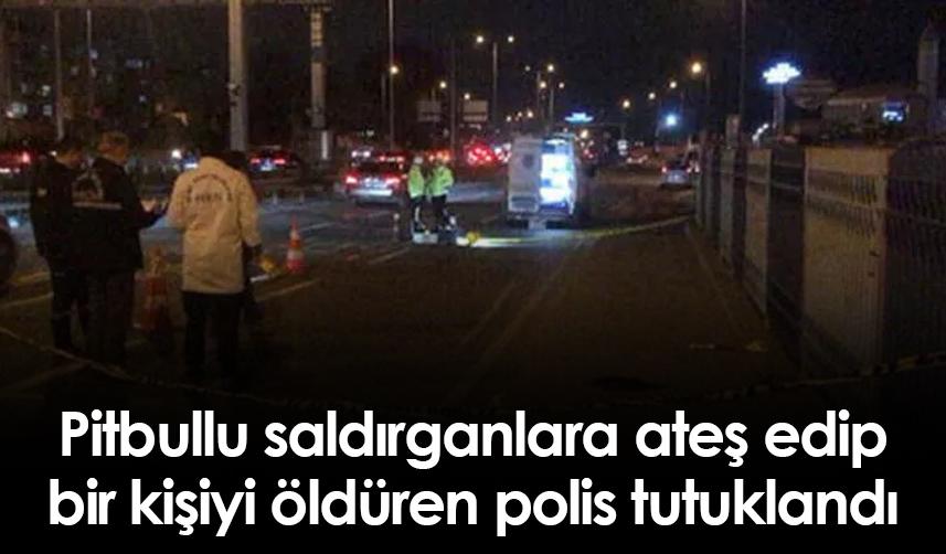 İstanbul'da Pitbullu saldırganlara ateş edip bir kişiyi öldüren polis tutuklandı