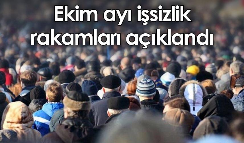 Türkiye'de ekim ayı işsizlik rakamları açıklandı