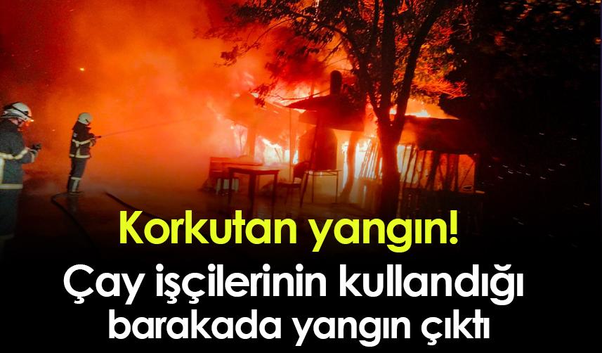 Rize'de korkutan yangın! Çay işçilerinin kullandığı barakada yangın çıktı