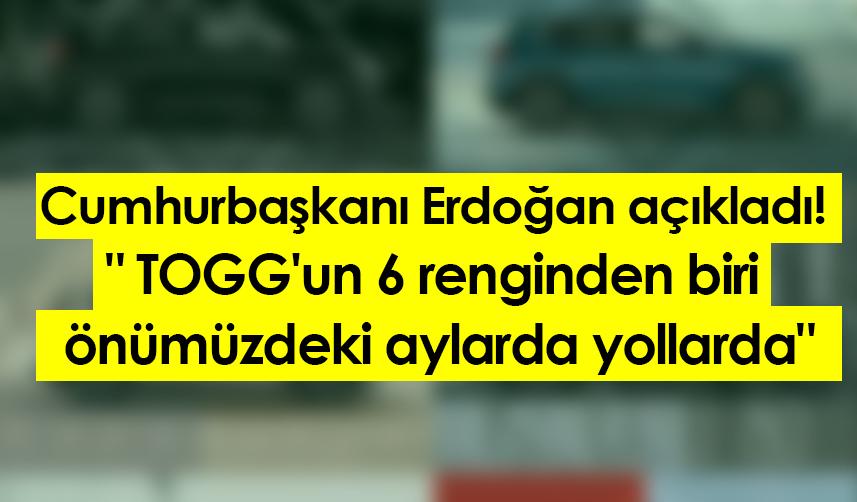 Cumhurbaşkanı Erdoğan açıkladı! "TOGG'un 6 renginden biri önümüzdeki aylarda yollarda"