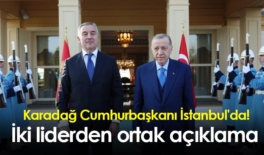 Karadağ Cumhurbaşkanı İstanbul'da! İki liderden ortak açıklama