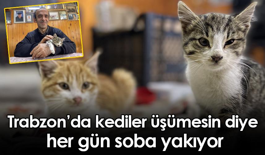 Trabzon’da kediler üşümesin diye  her gün soba yakıyor