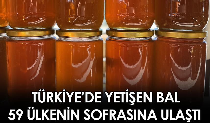 Türkiye'de yetişen bal 59 ülkenin sofrasına ulaştı