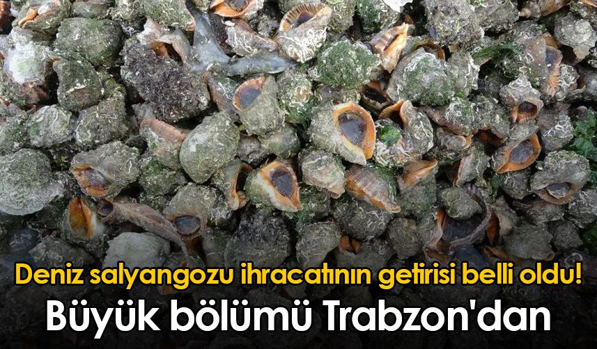 Deniz salyangozu ihracatının getirisi belli oldu! Büyük bölümü Trabzon'dan