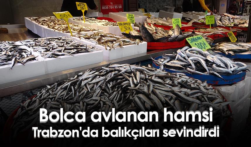 Bolca avlanan hamsi Trabzon'da balıkçıları sevindirdi