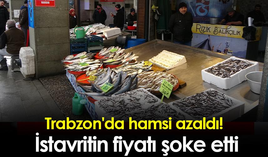 Trabzon'da hamsi azaldı! İstavritin fiyatı şoke etti