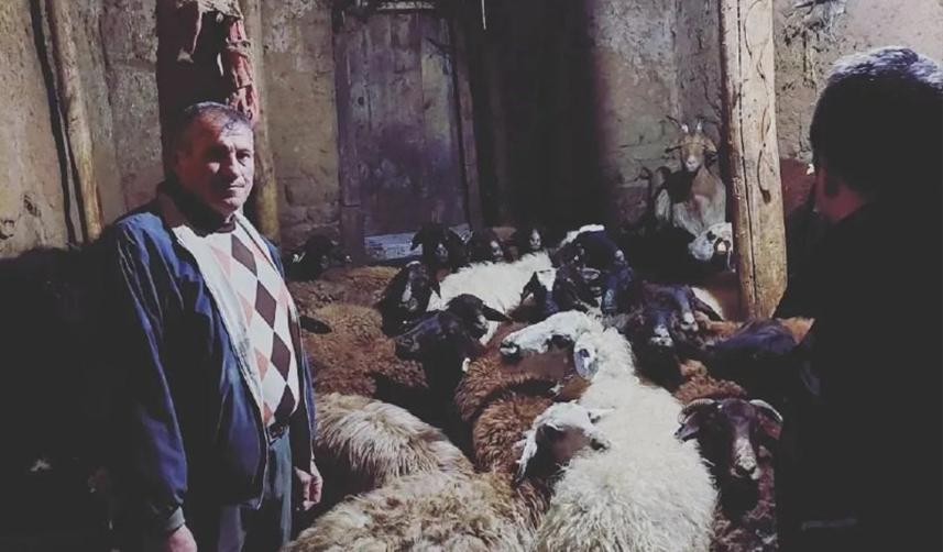 Bayburt'ta çiftçi ve besiciler depremzedeler için hayvanlarını satıyor