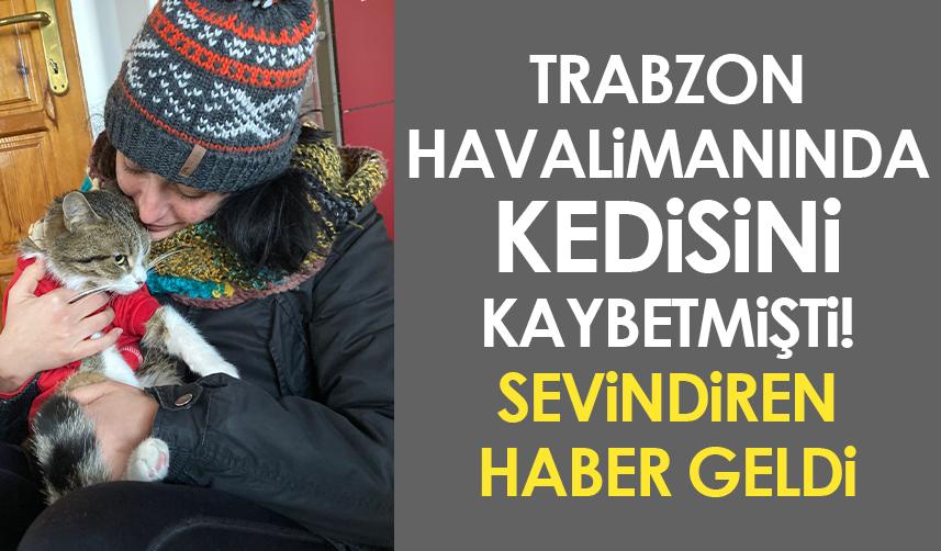 Trabzon Havalimanında kedisini kaybetmişti! Sevindiren haber geldi