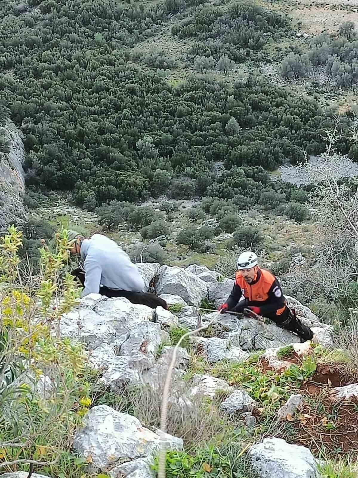 Kayalıkta mahsur kalan keçileri MAG AME ekibi kurtardı