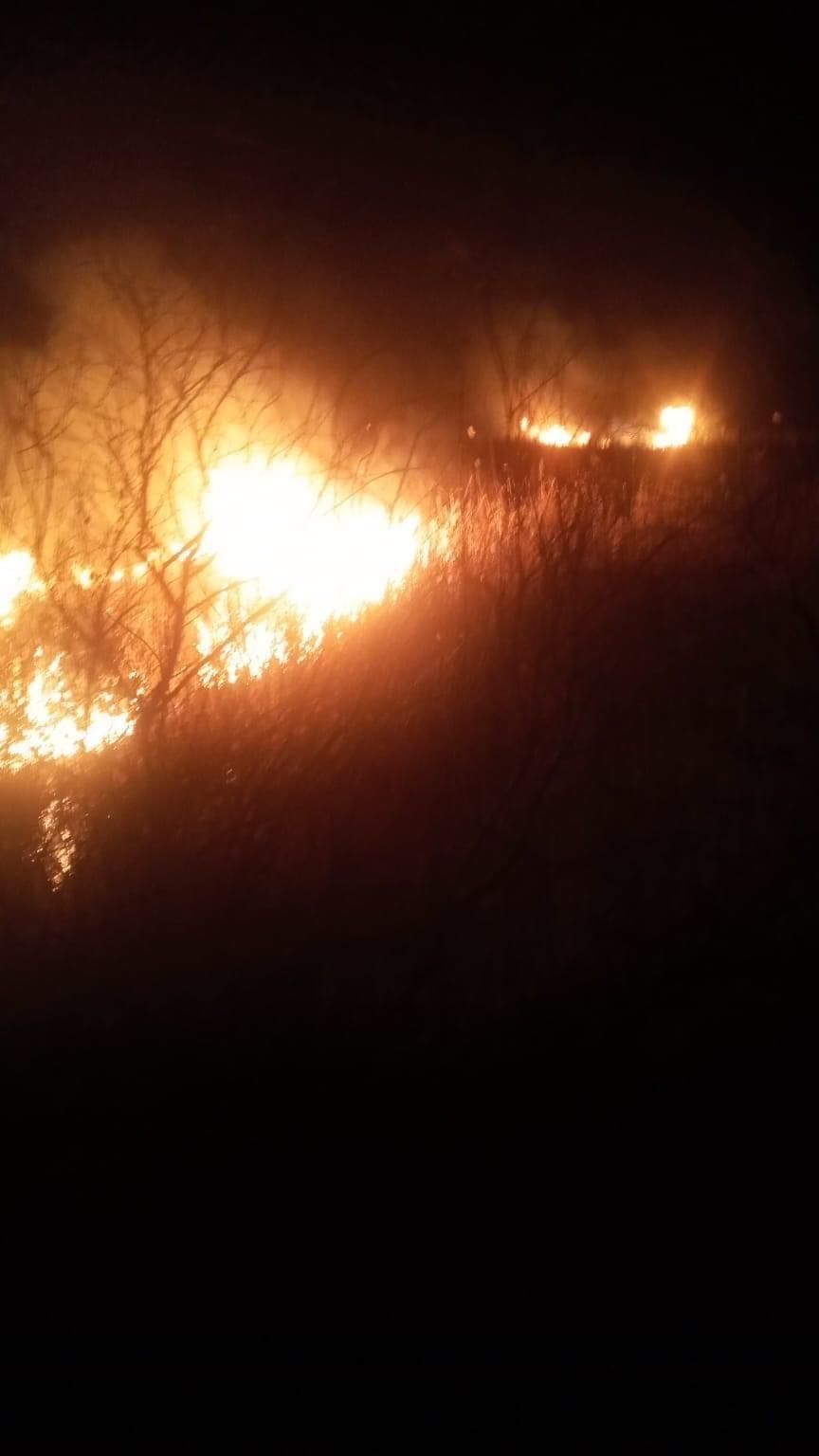 Gala Gölü Milli Parkı sazlık alanında çıkan yangın söndürüldü