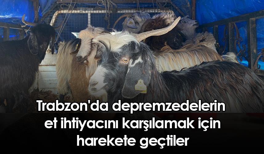 Trabzon'da depremzedelerin et ihtiyacını karşılamak için harekete geçtiler