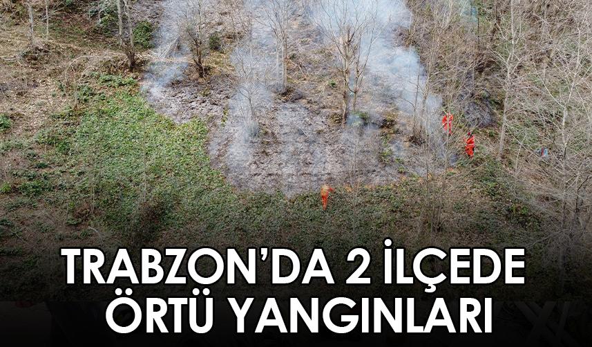 Trabzon’da 2 ilçede örtü yangınları