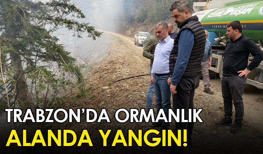 Trabzon'da ormanlık alanda yangın!