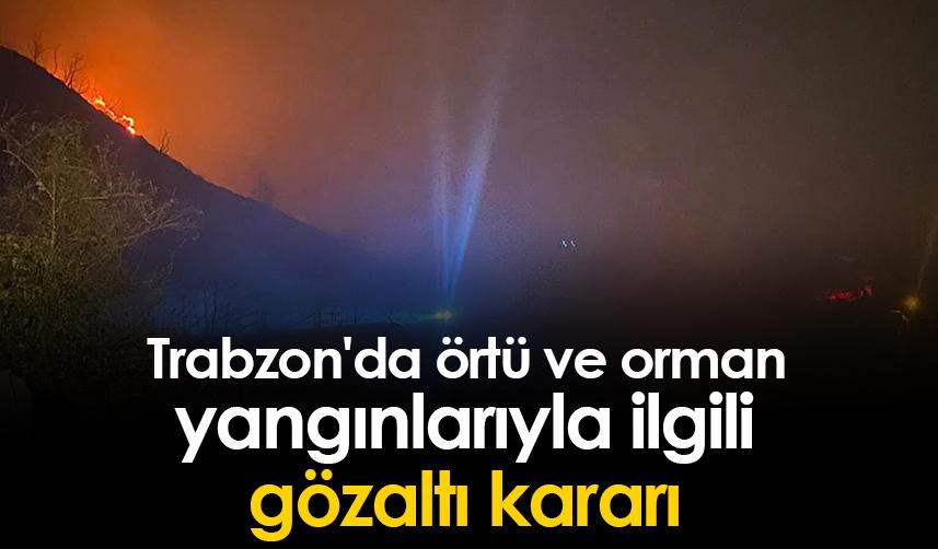 Trabzon'da örtü ve orman yangınlarıyla ilgili 4 kişi gözaltına alındı