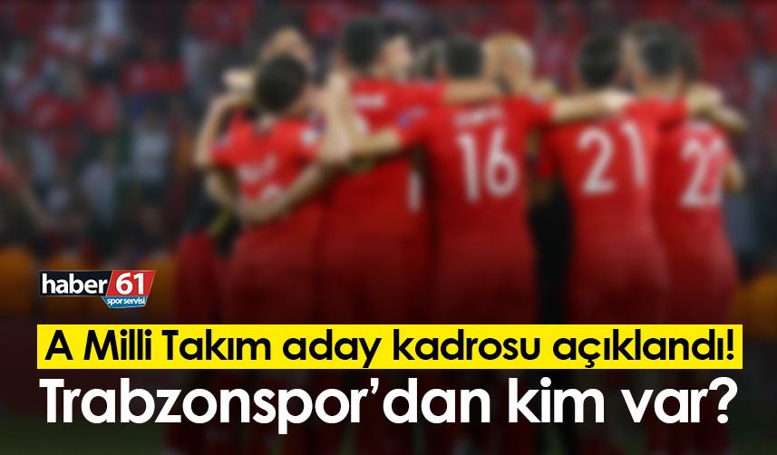 A Milli Takım aday kadrosu açıklandı! Trabzonspor’dan kim var?