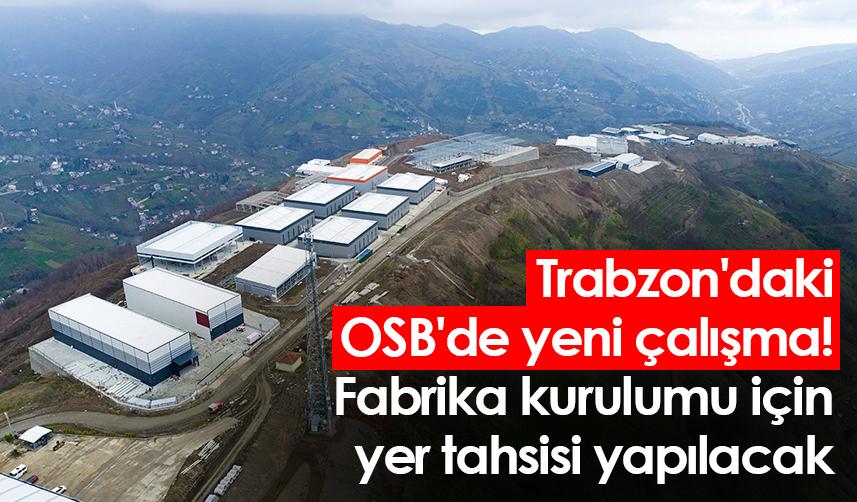 Trabzon'daki OSB'de yeni çalışma! Fabrika kurulumu için yer tahsisi yapılacak
