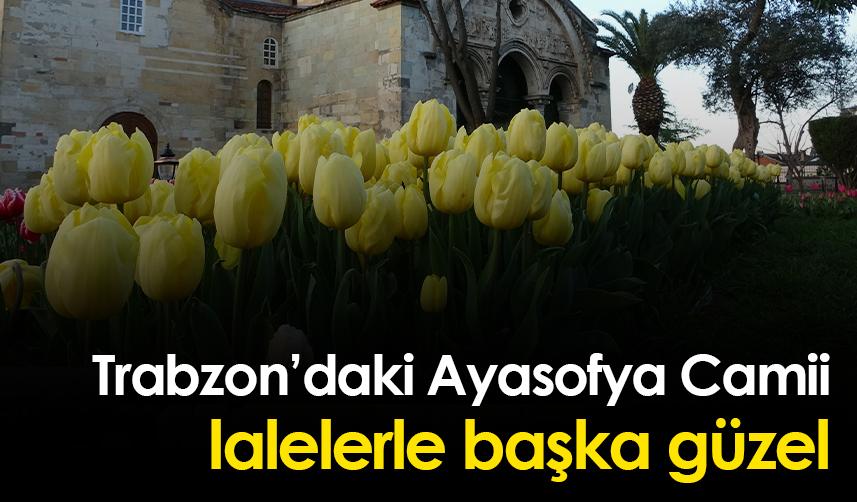 Trabzon’daki Ayasofya Camii lalelerle başka güzel