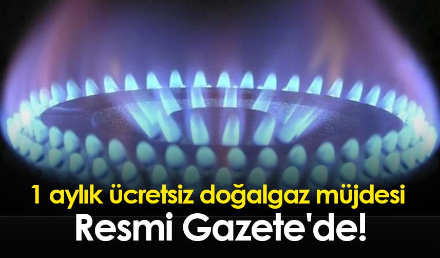 1 aylık ücretsiz doğalgaz müjdesi Resmi Gazete'de!