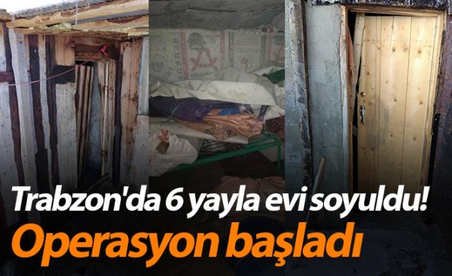 Trabzon'da 6 yayla evi soyuldu! Operasyon başladı