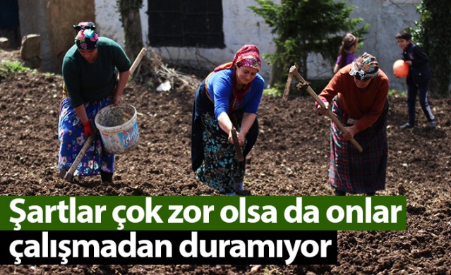Şartlar zor olsa da Karadeniz kadını çalışmadan duramıyor. Foto Galeri