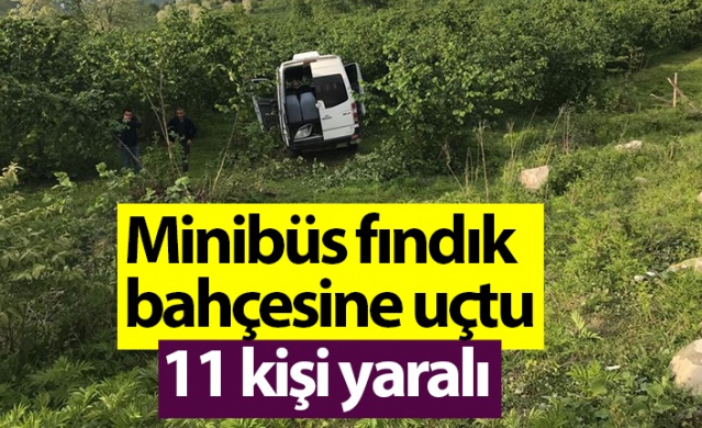 Ordu'da minibüs fındık bahçesine uçtu! 11 kişi yaralı. Foto Haber