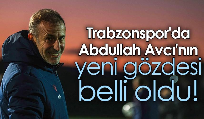 Trabzonspor'da Abdullah Avcı'nın yeni gözdesi belli oldu!