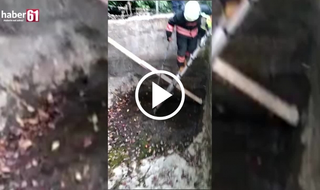 Su kuyusuna düşen porsuk için itfaiye ekipleri seferber oldu. Video Haber