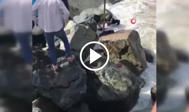 Rize'de kurbanlık boğa denize düştü! Vatandaşlar seferber oldu. Video Haber