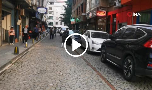 Trabzon'da martıların kavgası! Film gibi izlediler. Video Haber