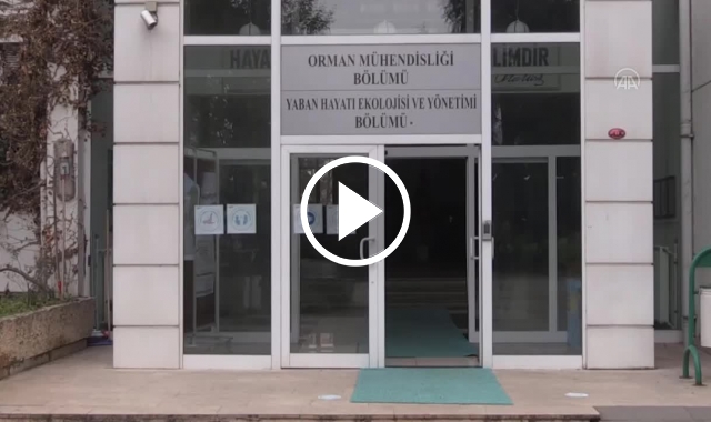 KTÜ'deki Yaban Hayatı Müzesi ilgi çekiyor. Video Haber