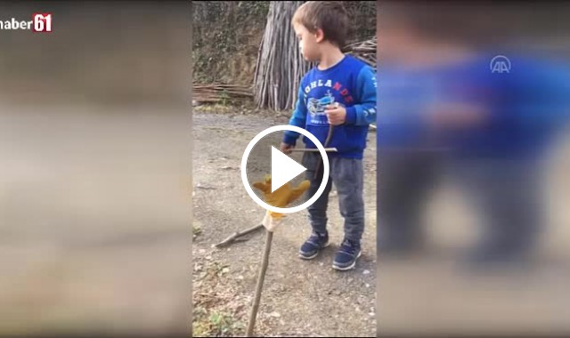 Trabzonlu küçük Mustafa'nın ağaç dallarıyla 'kemençe performansı' - Video Haber