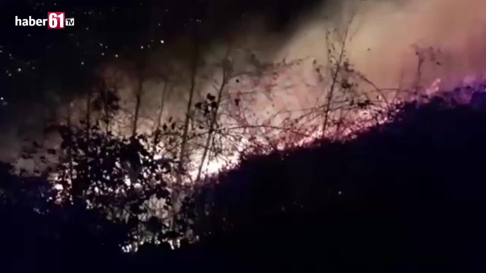 Akçaabat'ta orman yangını!