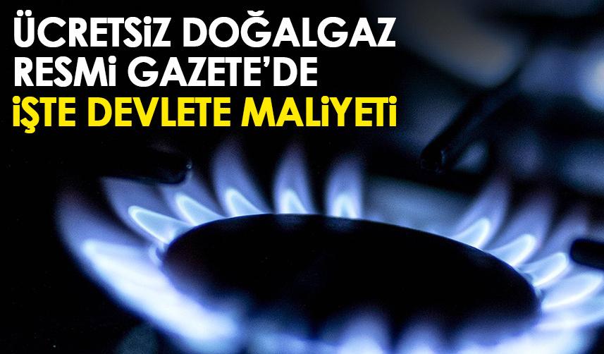 Ücretsiz doğalgaz kararı Resmi Gazete'de! İşte devlete maliyeti
