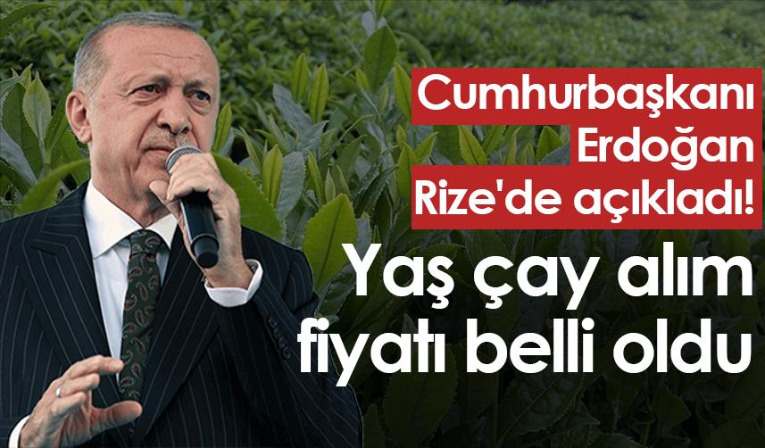 Cumhurbaşkanı Erdoğan Rize'de açıkladı! Yaş çay alım fiyatı belli oldu