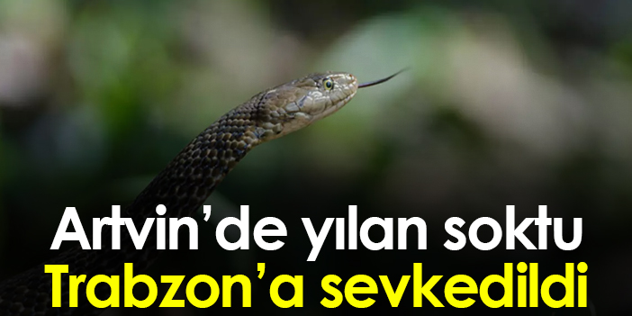 Artvin'de yılanın soktuğu genç kız Trabzon'da yoğun bakıma alındı
