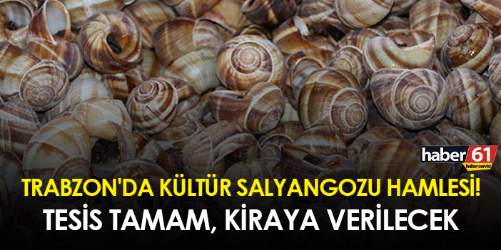 Trabzon'da kültür salyangozu hamlesi! Tesis tamam, kiraya verilecek