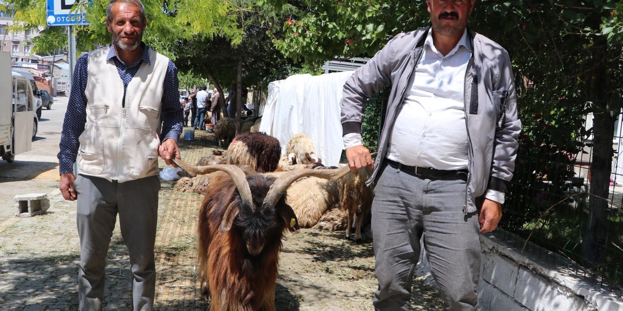 Elde kalan kurbanlıkların fiyatı düştü