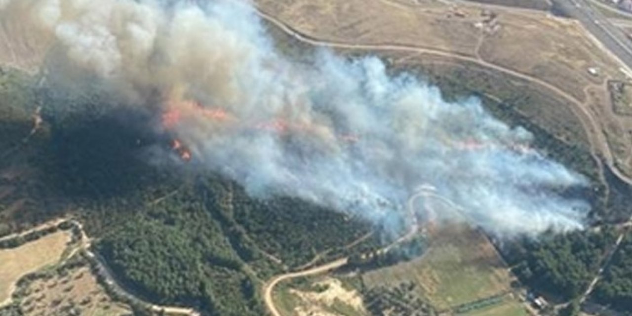İzmir'de orman yangını! Müdahale ediliyor