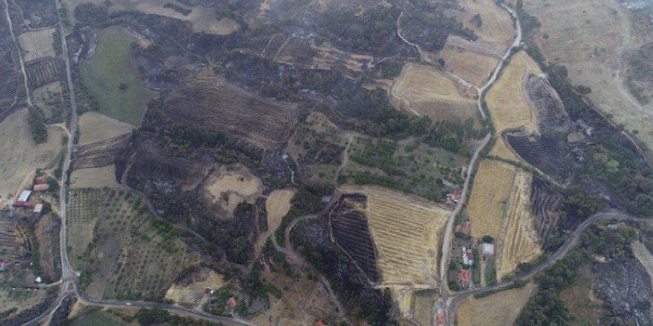 Çanakkale'de 3 gündür yanan bölge havadan görüntülendi!