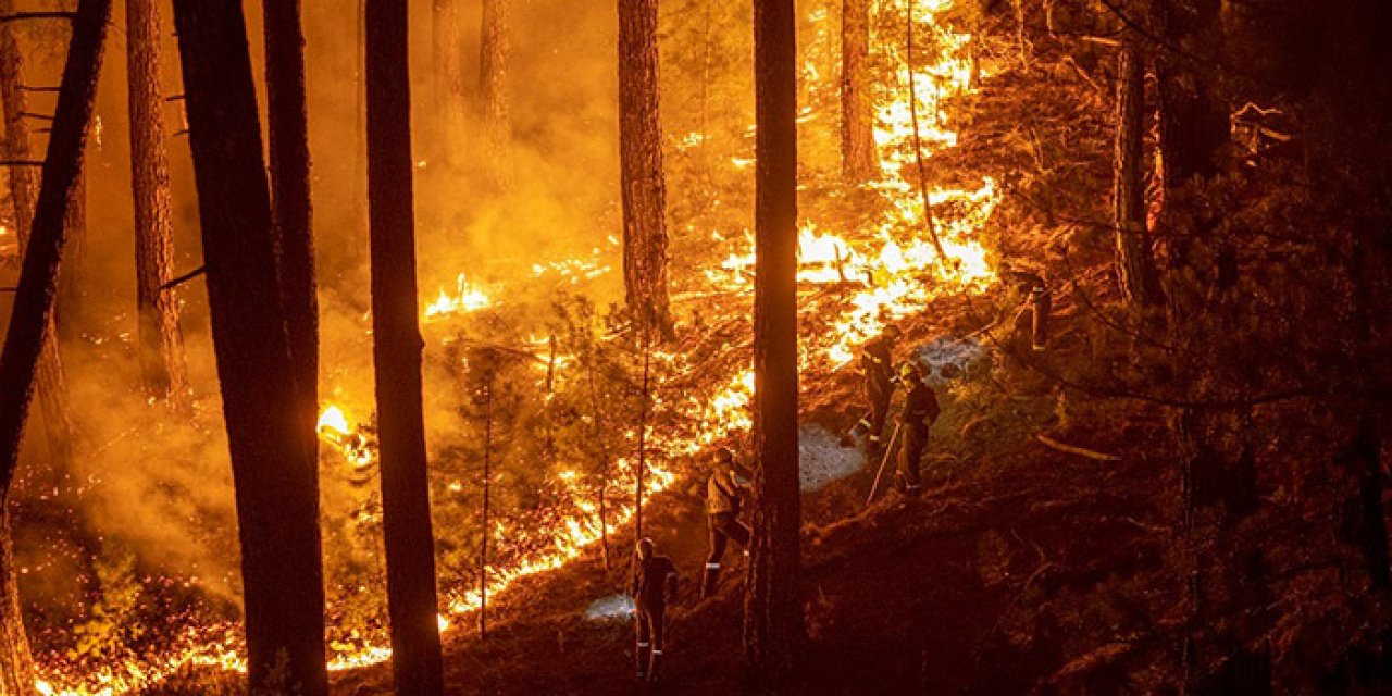 Orman yangınlarına karşı Genel Müdür Karacabey’den flaş uyarı! “Ormana yaklaşma, ateş kullanma, susuz bırakma”